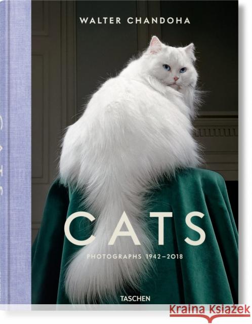 Walter Chandoha. Cats. Photographs 1942–2018 Susan Michals 9783836573856 Taschen GmbH - książka