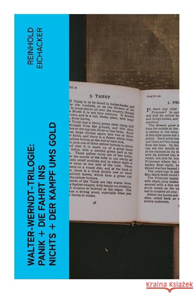 Walter-Werndt-Trilogie: Panik + Die Fahrt ins Nichts + Der Kampf ums Gold Eichacker, Reinhold 9788027356645 e-artnow - książka