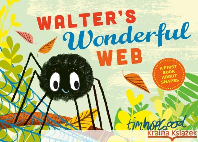 Walter's Wonderful Web: A First Book about Shapes Tim Hopgood 9780374303525 Farrar Straus Giroux - książka