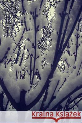 Wanderer Wandering Whispers 9781790137930 Independently Published - książka