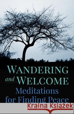 Wandering and Welcome: Meditations for Finding Peace Joseph Grant 9781632532961 Franciscan Media - książka