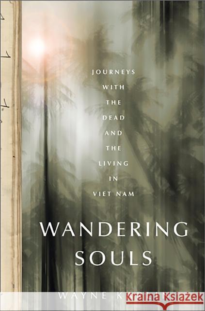 Wandering Souls: Journeys with the Dead and the Living in Vietnam Wayne Karlin 9781568587424 Nation Books - książka