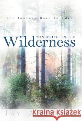 Wanderings in the Wilderness: The Journey Back to Eden Andrews, Jay 9781449726782 WestBow Press - książka
