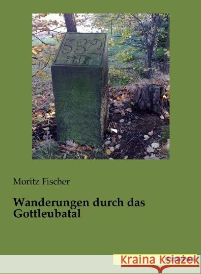 Wanderungen durch das Gottleubatal Fischer, Moritz 9783957703798 Saxoniabuch.de - książka