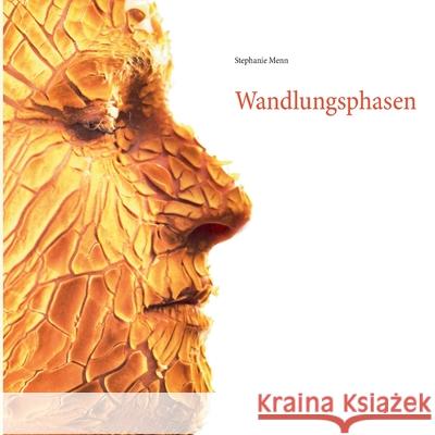 Wandlungsphasen: Meine Reise zum Ich Stephanie Menn 9783752687286 Books on Demand - książka