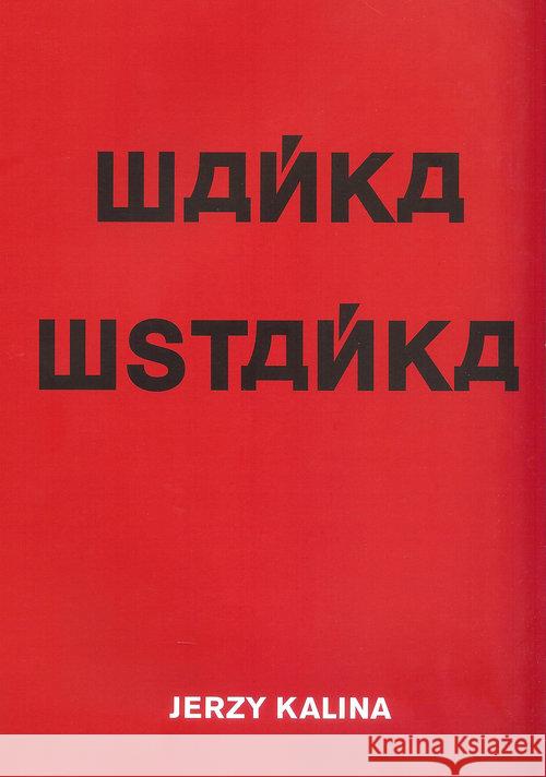 Wańka wstańka Kalina Jerzy 9788361886693 Galeria Miejska Arsenał - książka