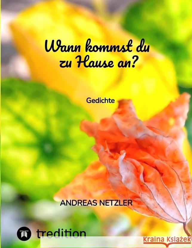 Wann kommst du zu Hause an? Netzler, Andreas 9783347827059 tredition - książka