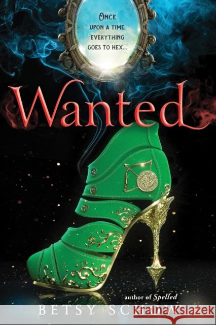 Wanted Betsy Schow 9781492635994 Sourcebooks Fire - książka