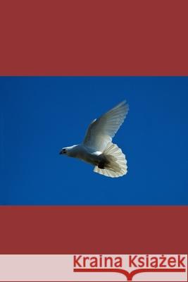 War for Peace and Peace for War: Justifications for Wars Salamat Alli Mahammad 9798333086105 Independently Published - książka