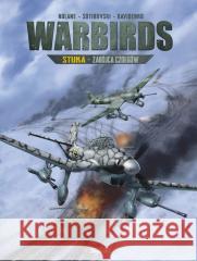 Warbirds Stuka Zabójca czołgów Richard D. Nolane 9788368092424 Scream Comics - książka