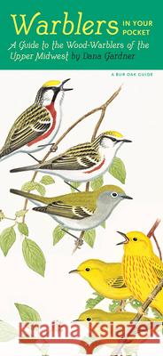 Warblers in Your Pocket: A Guide to Wood-Warblers of the Upper Midwest Dana Gardner 9781609384296 University of Iowa Press - książka