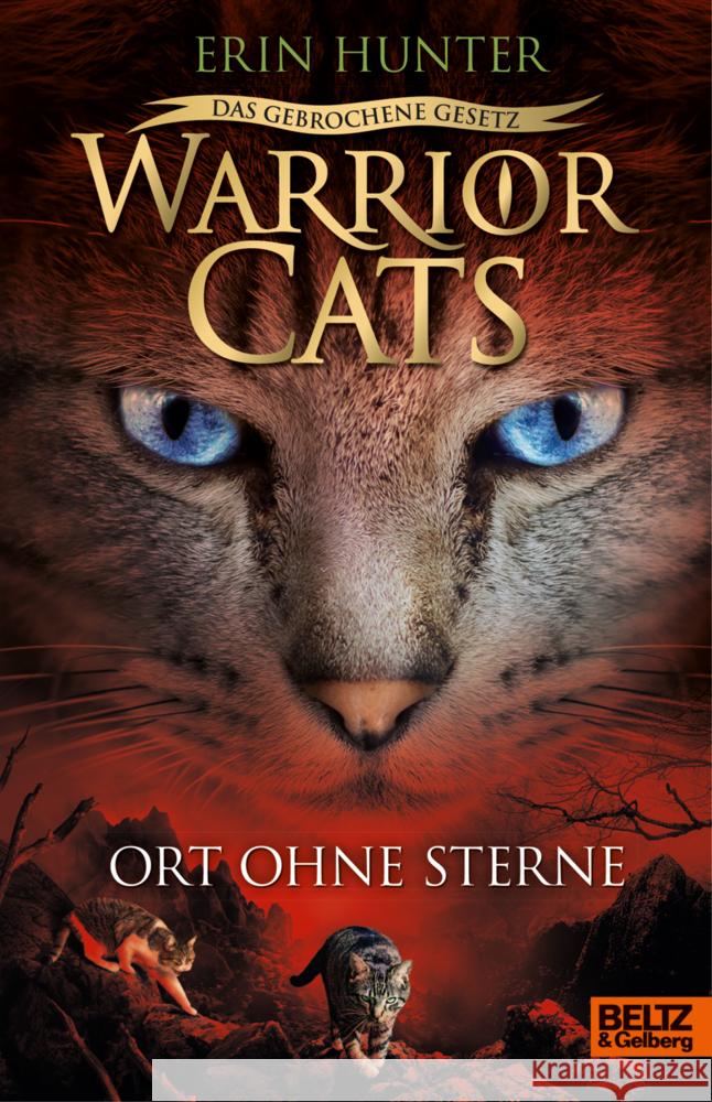 Warrior Cats - Das gebrochene Gesetz. Ort ohne Sterne Hunter, Erin 9783407756466 Beltz - książka