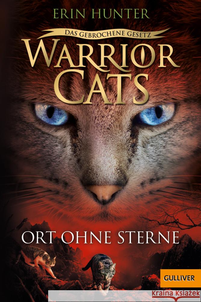 Warrior Cats - Das gebrochene Gesetz. Ort ohne Sterne Hunter, Erin 9783407813190 Gulliver von Beltz & Gelberg - książka