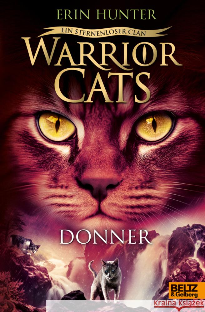 Warrior Cats - Ein sternenloser Clan. Donner Hunter, Erin 9783407759405 Beltz - książka