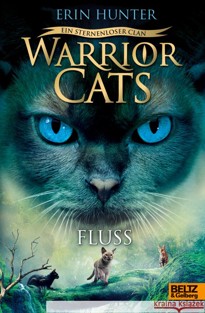 Warrior Cats - Ein sternenloser Clan. Fluss Hunter, Erin 9783407757234 Beltz - książka