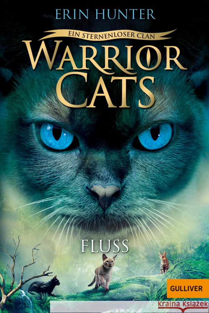 Warrior Cats - Ein sternenloser Clan. Fluss Hunter, Erin 9783407814104 Beltz - książka