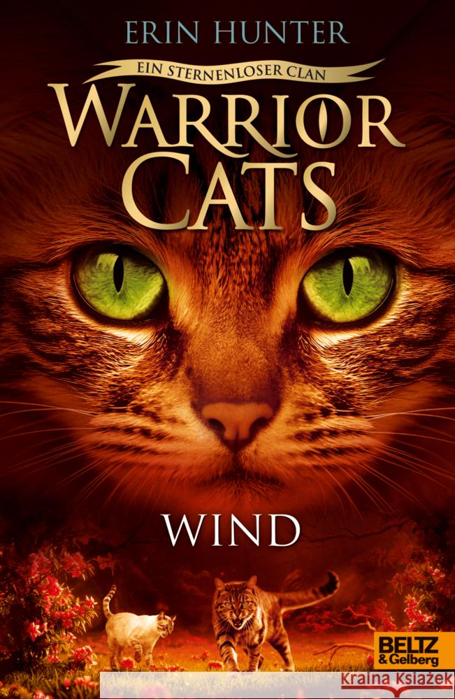 Warrior Cats - Ein sternenloser Clan. Wind Hunter, Erin 9783407759764 Beltz - książka