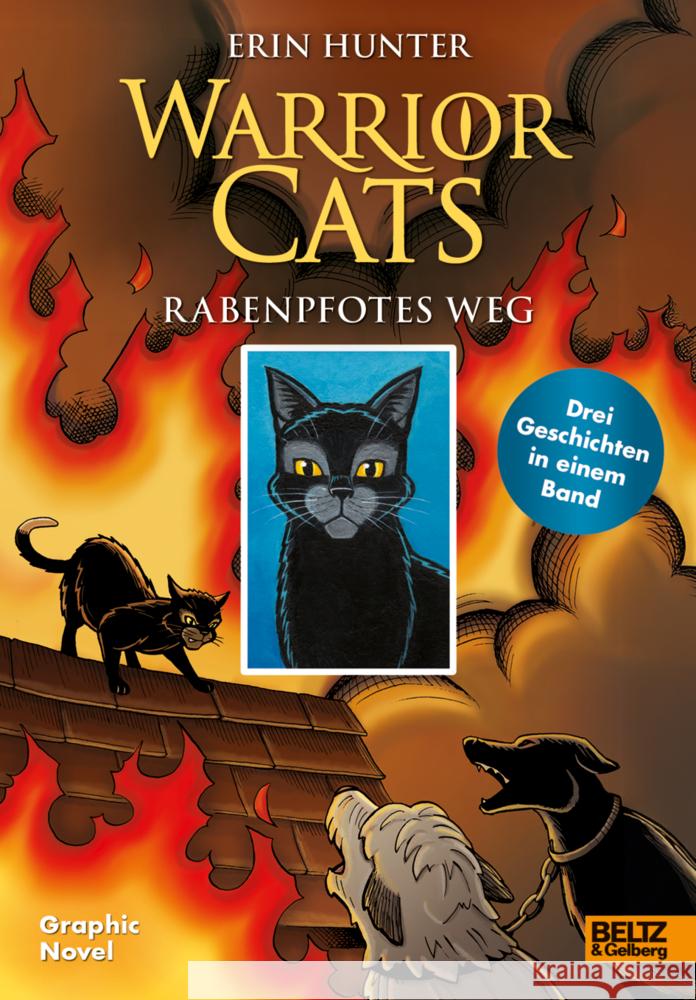 Warrior Cats - Rabenpfotes Weg Hunter, Erin, Jolley, Dan 9783407752772 Beltz - książka