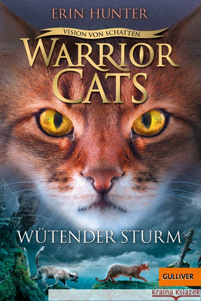 Warrior Cats - Vision von Schatten. Wütender Sturm Hunter, Erin 9783407812667 Gulliver von Beltz & Gelberg - książka