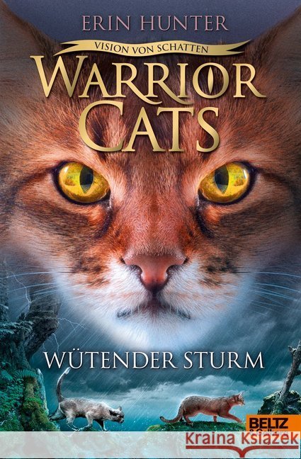 Warrior Cats - Vision von Schatten. Wütender Sturm Hunter, Erin 9783407754646 Beltz - książka