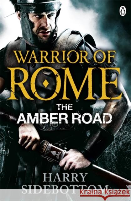 Warrior of Rome VI: The Amber Road Harry Sidebottom 9780141046181 PENGUIN GROUP - książka