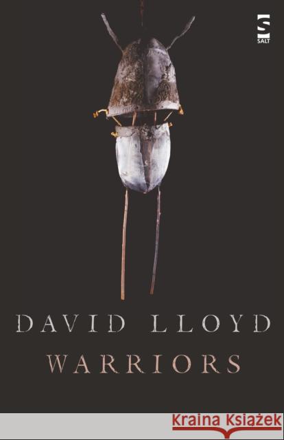 Warriors David Lloyd 9781844717606 Salt Publishing - książka