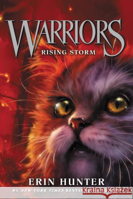 Warriors #4: Rising Storm Hunter, Erin 9780062366993 HarperCollins - książka