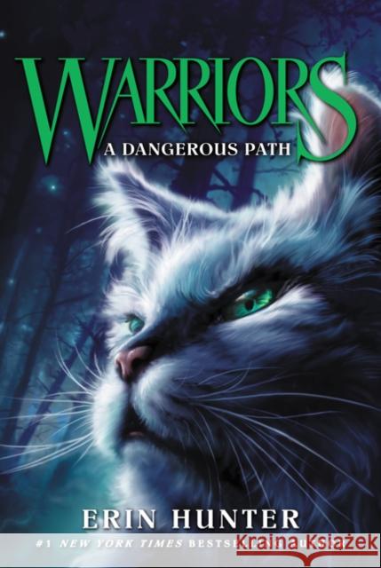 Warriors #5: A Dangerous Path Hunter, Erin 9780062367006 HarperCollins - książka