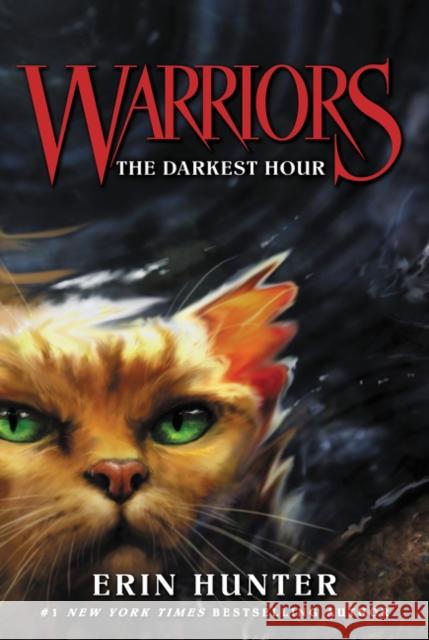 Warriors #6: The Darkest Hour Hunter, Erin 9780062367013 HarperCollins - książka