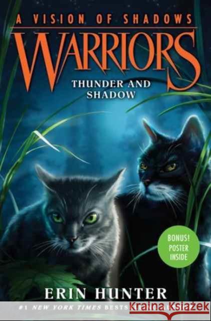 Warriors: A Vision of Shadows #2: Thunder and Shadow Hunter, Erin 9780062386434 HarperCollins Publishers Inc - książka