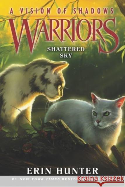 Warriors: A Vision of Shadows #3: Shattered Sky Erin Hunter 9780062386472 HarperCollins Publishers Inc - książka
