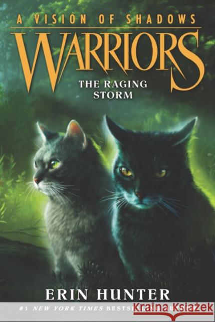 Warriors: A Vision of Shadows #6: The Raging Storm  9780062386595 HarperCollins Publishers Inc - książka