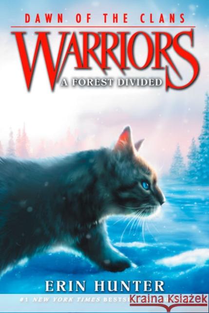 Warriors: Dawn of the Clans #5: A Forest Divided Erin Hunter Wayne McLoughlin Allen Douglas 9780062410054 HarperCollins Publishers Inc - książka