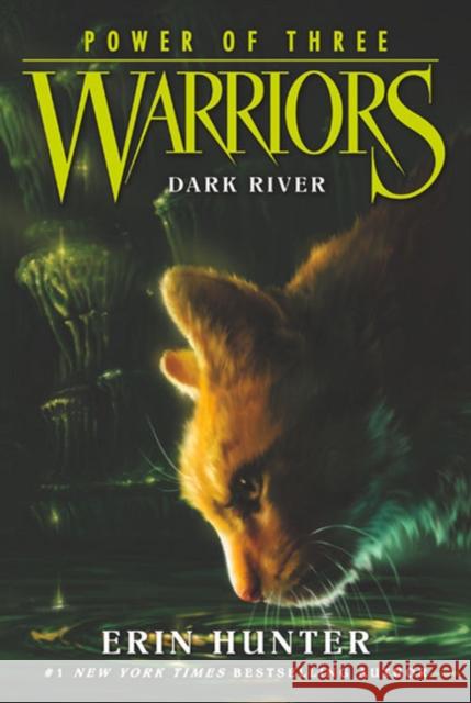 Warriors: Power of Three #2: Dark River Erin Hunter 9780062367099 HarperCollins Publishers Inc - książka