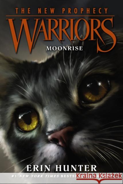 Warriors: The New Prophecy #2: Moonrise Hunter, Erin 9780062367037 HarperCollins - książka