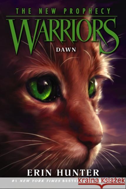 Warriors: The New Prophecy #3: Dawn Hunter, Erin 9780062367044 HarperCollins - książka