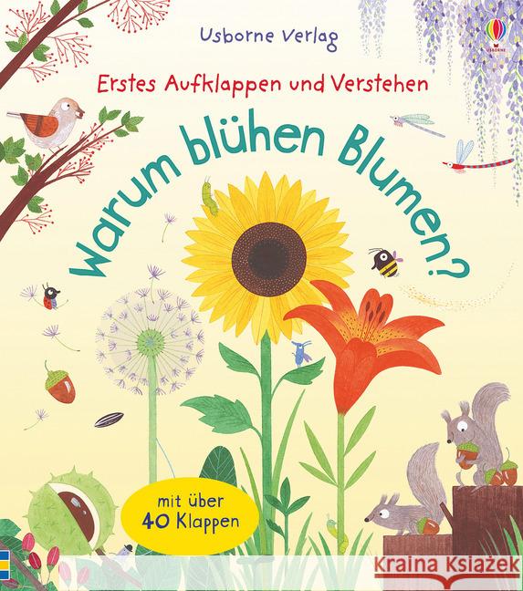 Warum blühen Blumen? : Erstes Aufklappen und Verstehen. Mit über 40 Klappen Daynes, Katie 9781782325727 Usborne Verlag - książka