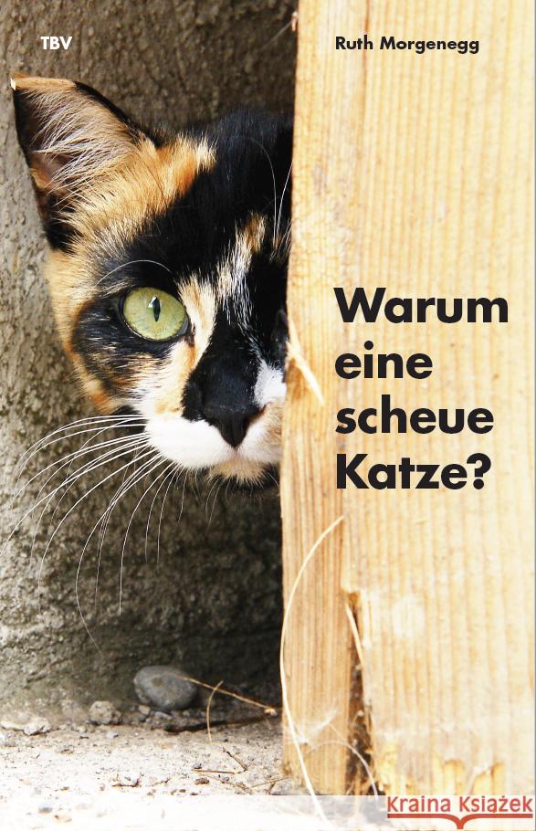 Warum eine scheue Katze? Morgenegg, Ruth 9783952266144 TBV Tierbücherverlag - książka