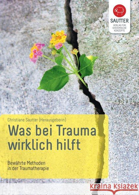 Was bei Trauma wirklich hilft : Bewährte Methoden in der Traumatherapie  9783943239065 Verlag für Systemische Konzepte - książka