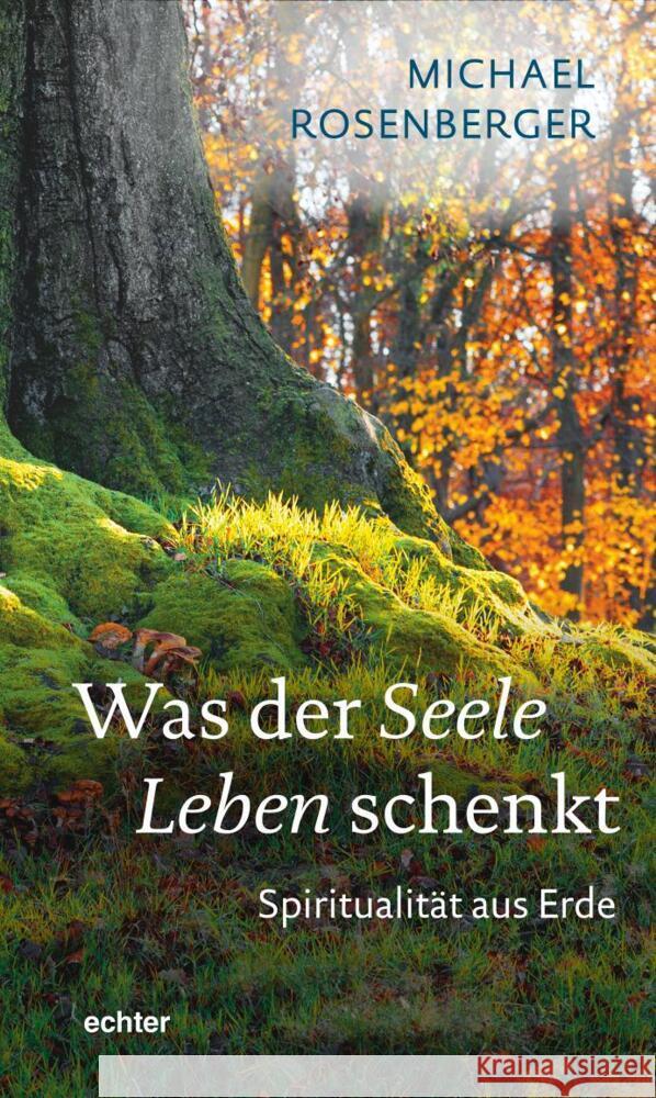Was der Seele Leben schenkt Rosenberger, Michael 9783429055905 Echter - książka