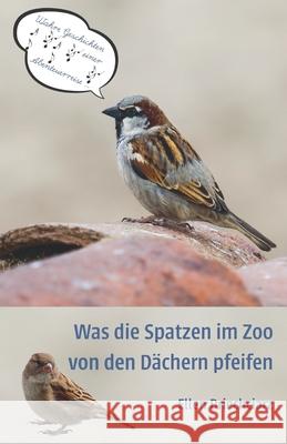 Was die Spatzen im Zoo von den Dächern pfeifen: Wahre Geschichten einer Abenteuerreise Driechciarz, Ellen 9783861968238 Papierfresserchens Mtm-Verlag - książka
