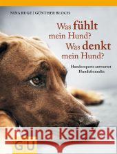 Was fühlt mein Hund? Was denkt mein Hund? : Hundeexperte antwortet Hundefreundin Ruge, Nina; Bloch, Günther 9783833826450 Gräfe & Unzer - książka