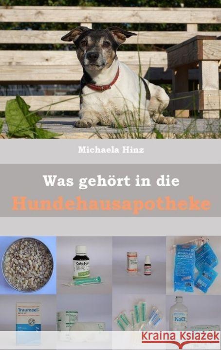 Was gehört in die Hundehausaportheke Hinz, Michaela 9783347722439 tredition - książka