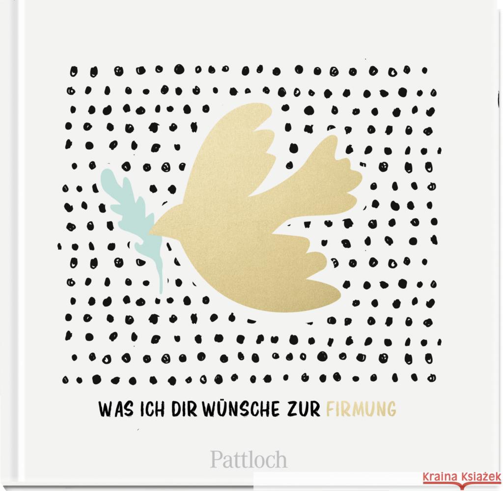 Was ich dir wünsche zur Firmung Pattloch Verlag 9783629004321 Pattloch - książka