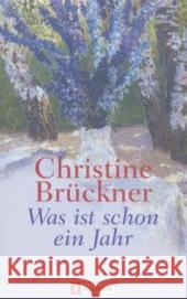 Was ist schon ein Jahr : Frühe Erzählungen Brückner, Christine 9783548255293 Ullstein TB - książka