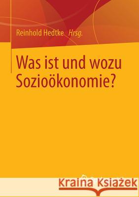 Was Ist Und Wozu Sozioökonomie? Hedtke, Reinhold 9783531198521 Springer vs - książka
