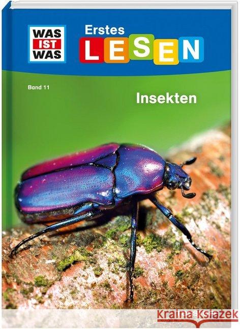 Was ist was Erstes Lesen: Insekten Braun, Christina 9783788676674 Tessloff - książka