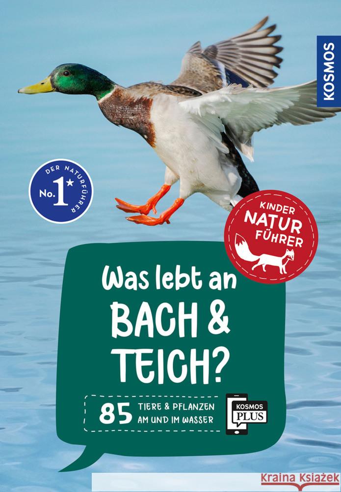 Was lebt an Bach und Teich? Kindernaturführer Saan, Anita van 9783440182116 Kosmos (Franckh-Kosmos) - książka