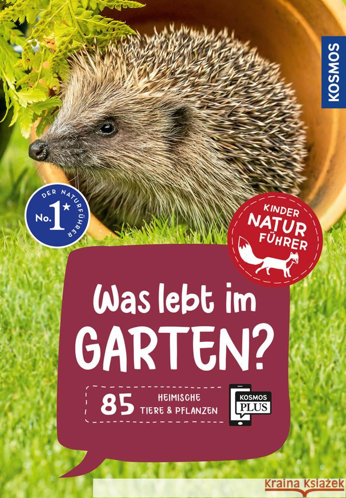 Was lebt im Garten? Kindernaturführer Oftring, Bärbel 9783440182123 Kosmos (Franckh-Kosmos) - książka