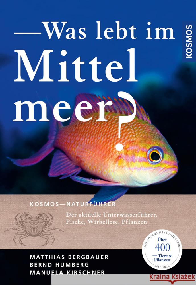 Was lebt im Mittelmeer? Bergbauer, Matthias, Humberg, Bernd 9783440176030 Kosmos (Franckh-Kosmos) - książka